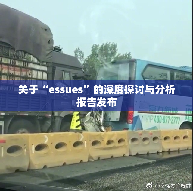 关于“essues”的深度探讨与分析报告发布