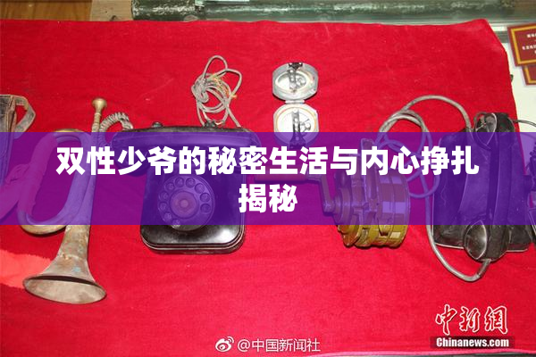 双性少爷的秘密生活与内心挣扎揭秘