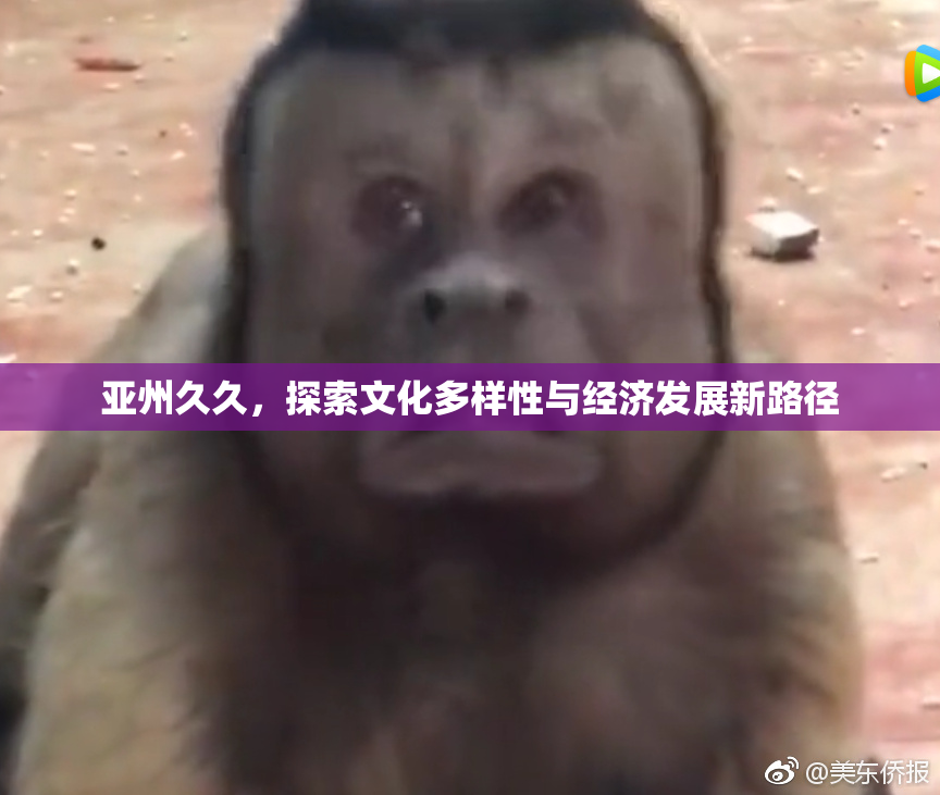 亚州久久，探索文化多样性与经济发展新路径