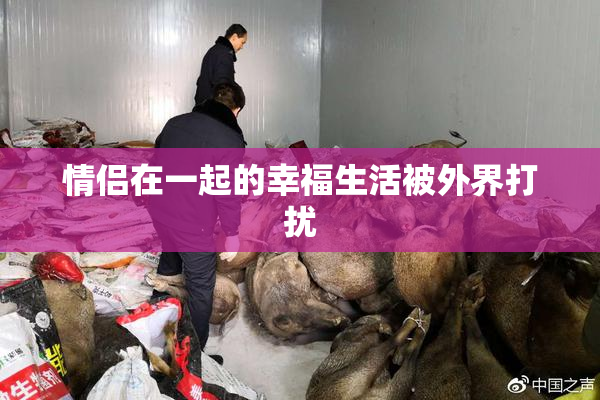 情侣在一起的幸福生活被外界打扰