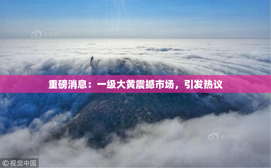 重磅消息：一级大黄震撼市场，引发热议