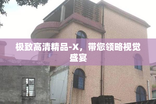 极致高清精品-X，带您领略视觉盛宴