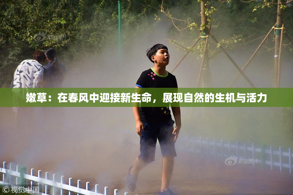 嫩草：在春风中迎接新生命，展现自然的生机与活力