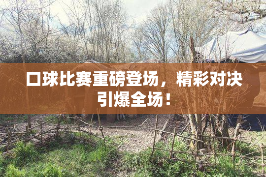 口球比赛重磅登场，精彩对决引爆全场！