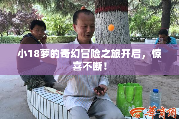 小18萝的奇幻冒险之旅开启，惊喜不断！