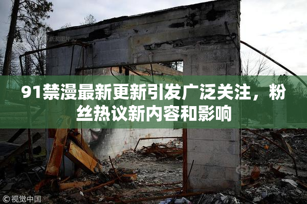 91禁漫最新更新引发广泛关注，粉丝热议新内容和影响