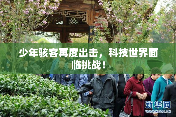 少年骇客再度出击，科技世界面临挑战！
