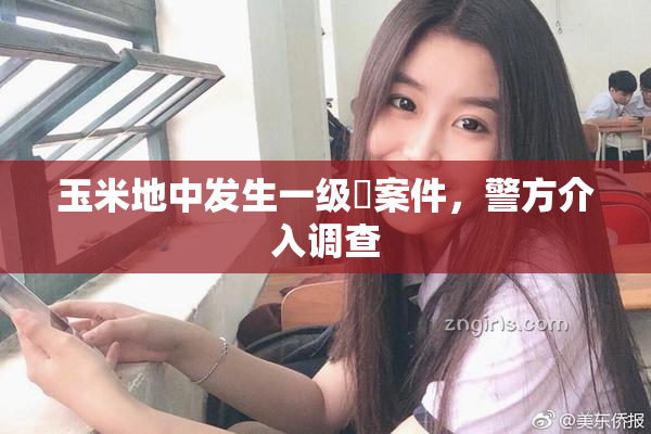 玉米地中发生一级婬案件，警方介入调查