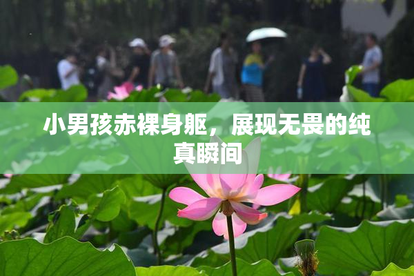 小男孩赤裸身躯，展现无畏的纯真瞬间