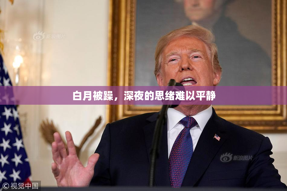 白月被躁，深夜的思绪难以平静