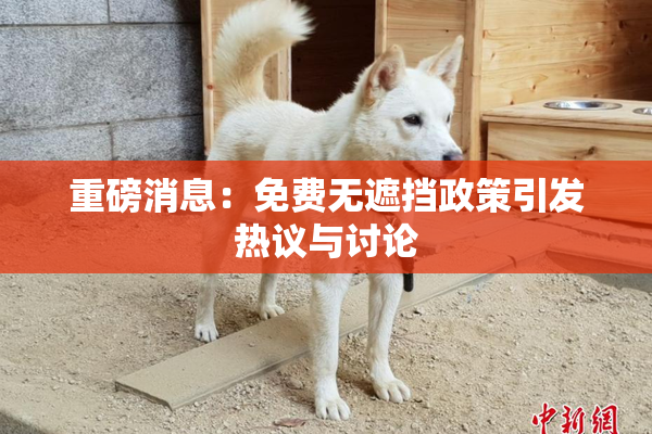 重磅消息：免费无遮挡政策引发热议与讨论