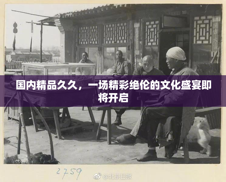 国内精品久久，一场精彩绝伦的文化盛宴即将开启