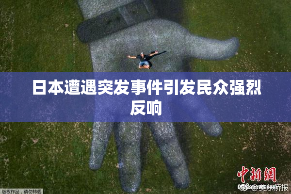 日本遭遇突发事件引发民众强烈反响