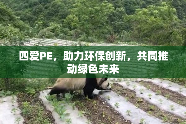 四爱PE，助力环保创新，共同推动绿色未来