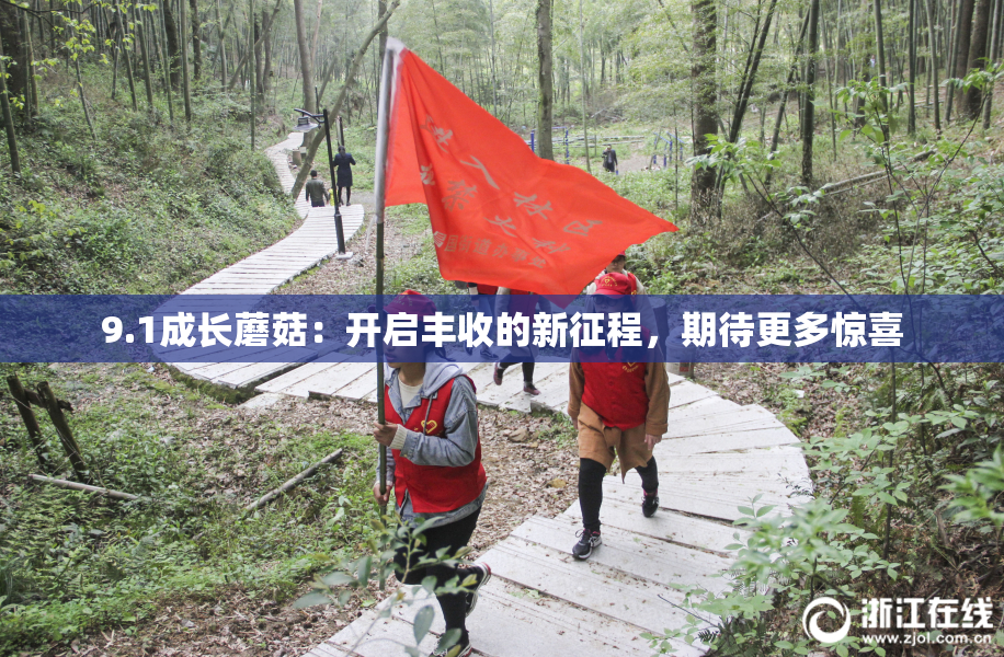 9.1成长蘑菇：开启丰收的新征程，期待更多惊喜