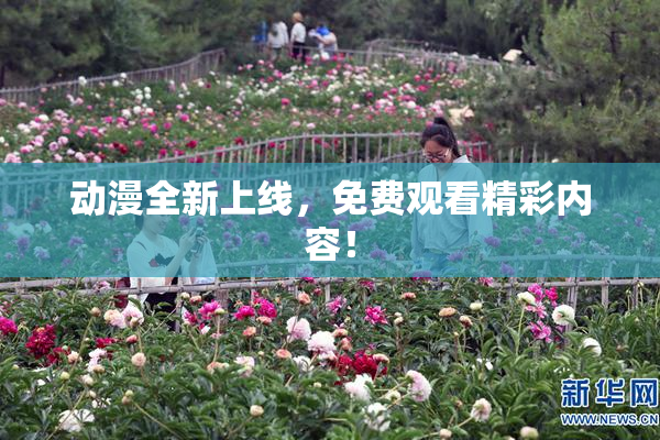 动漫全新上线，免费观看精彩内容！
