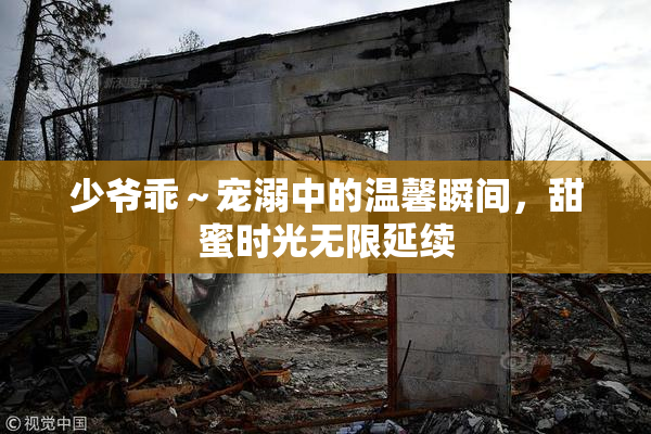 少爷乖～宠溺中的温馨瞬间，甜蜜时光无限延续