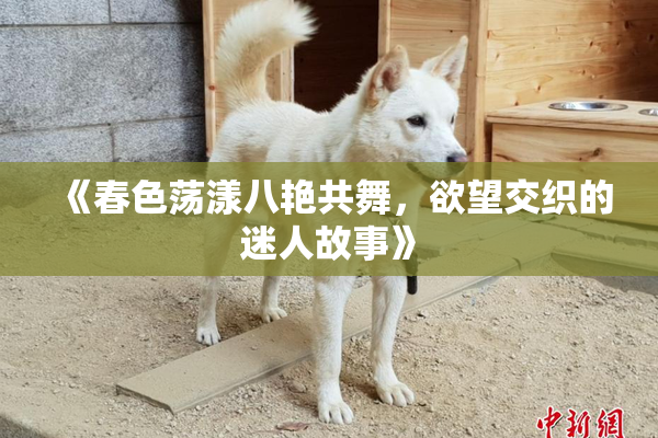 《春色荡漾八艳共舞，欲望交织的迷人故事》