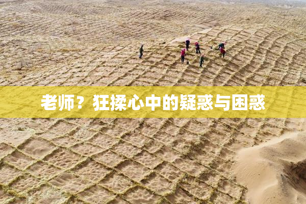 老师？狂揉心中的疑惑与困惑