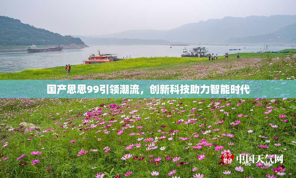 国产思思99引领潮流，创新科技助力智能时代