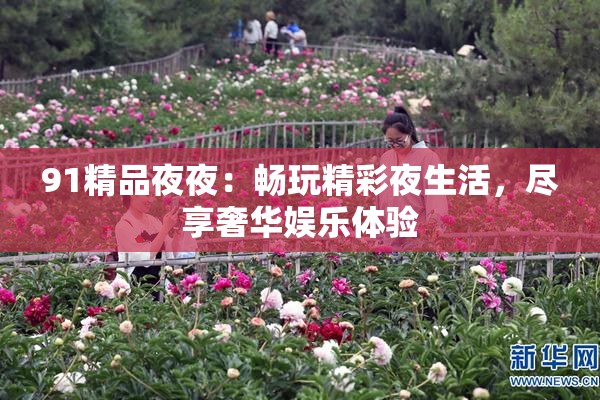 91精品夜夜：畅玩精彩夜生活，尽享奢华娱乐体验