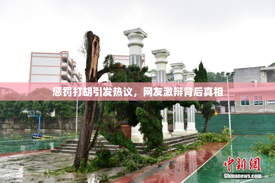 惩罚打胡引发热议，网友激辩背后真相