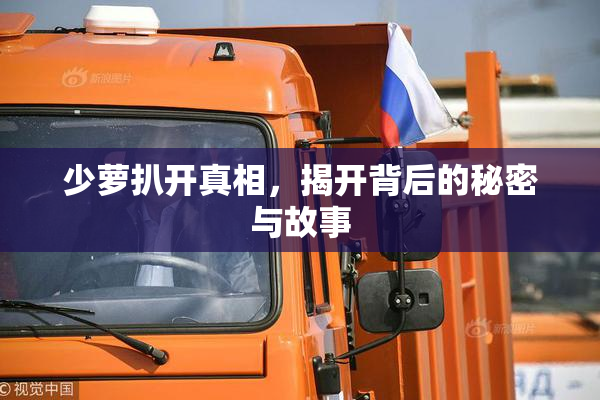 少萝扒开真相，揭开背后的秘密与故事