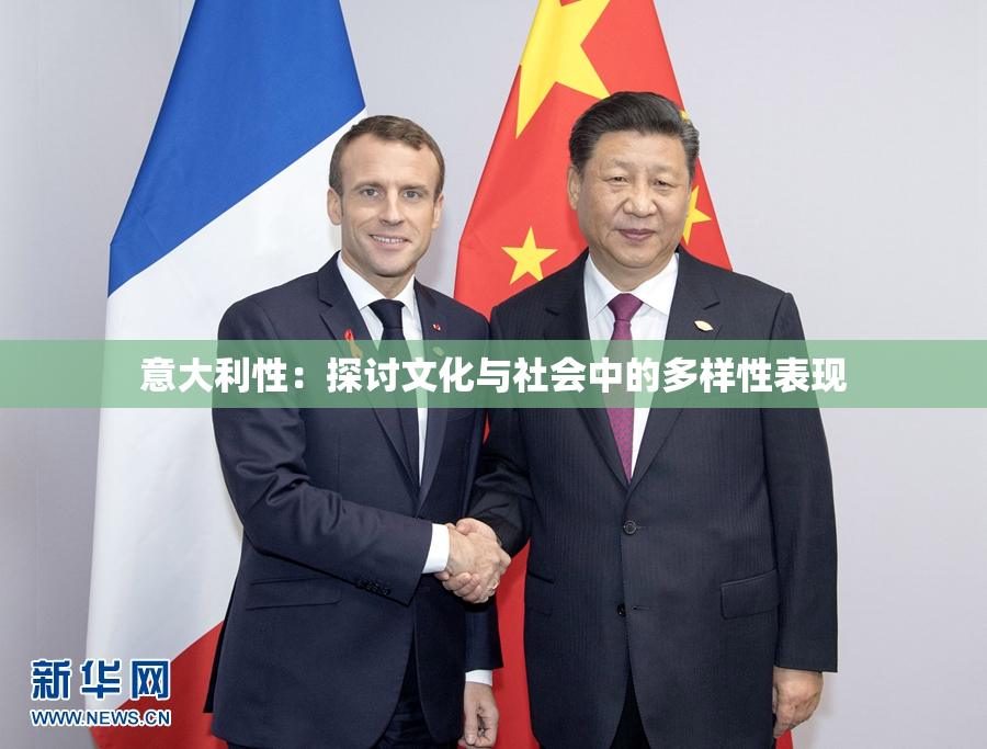 意大利性：探讨文化与社会中的多样性表现