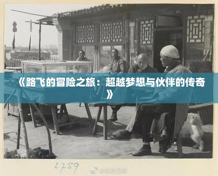 《路飞的冒险之旅：超越梦想与伙伴的传奇》