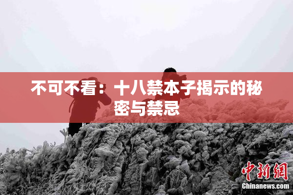 不可不看：十八禁本子揭示的秘密与禁忌