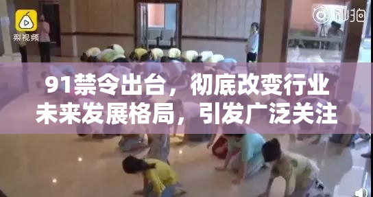 91禁令出台，彻底改变行业未来发展格局，引发广泛关注与讨论