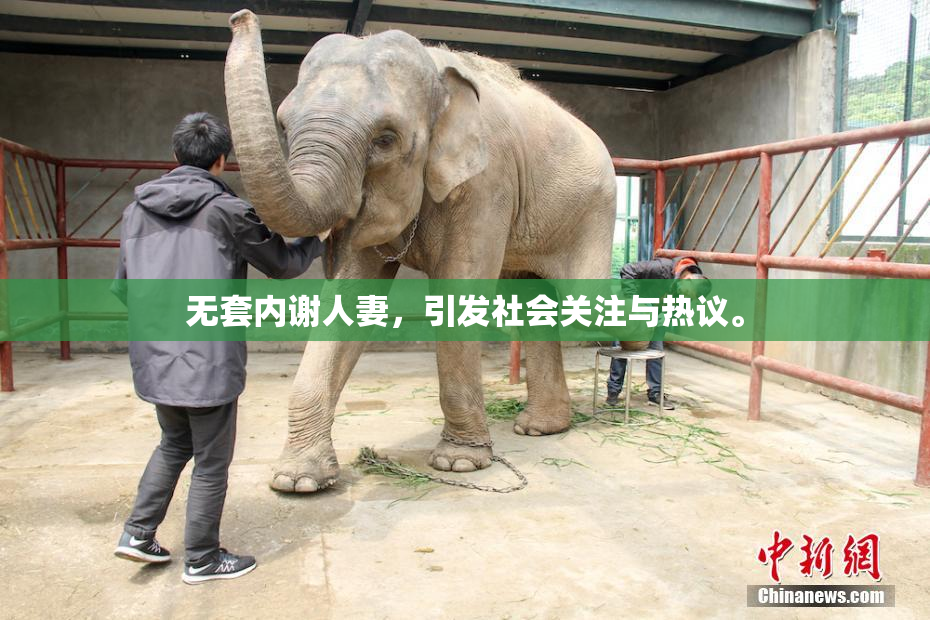 无套内谢人妻，引发社会关注与热议。