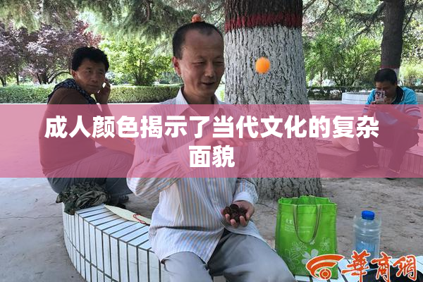 成人颜色揭示了当代文化的复杂面貌