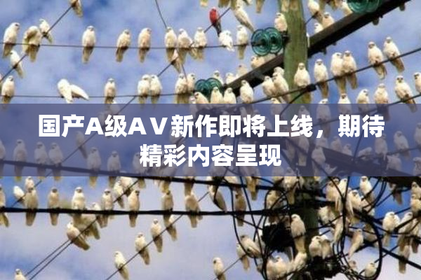 国产A级AⅤ新作即将上线，期待精彩内容呈现