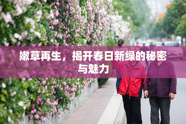 嫩草再生，揭开春日新绿的秘密与魅力
