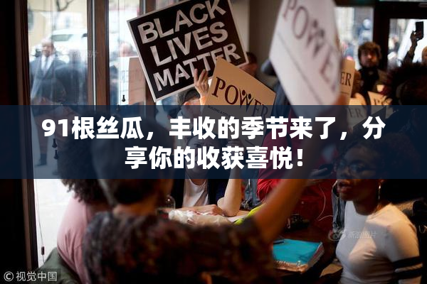 91根丝瓜，丰收的季节来了，分享你的收获喜悦！