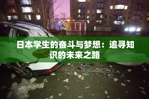 日本学生的奋斗与梦想：追寻知识的未来之路