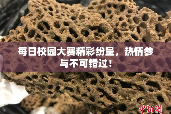 每日校园大赛精彩纷呈，热情参与不可错过！