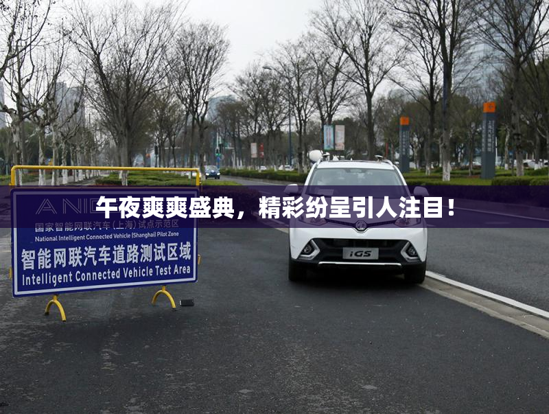 午夜爽爽盛典，精彩纷呈引人注目！