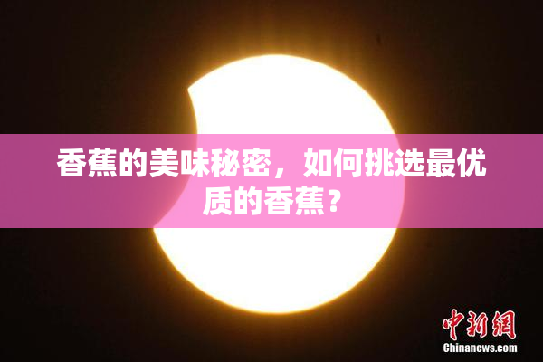 香蕉的美味秘密，如何挑选最优质的香蕉？