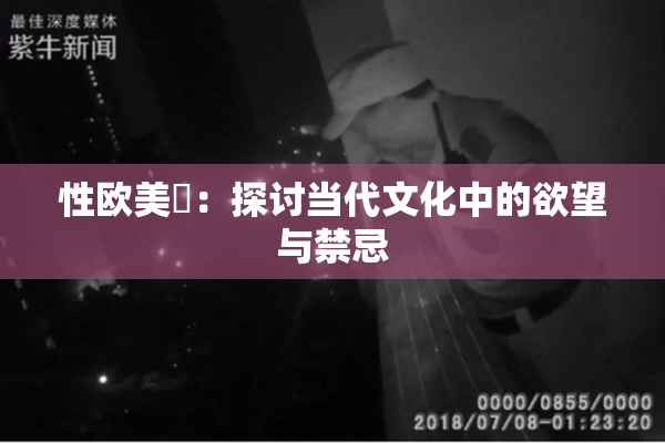 性欧美婬：探讨当代文化中的欲望与禁忌