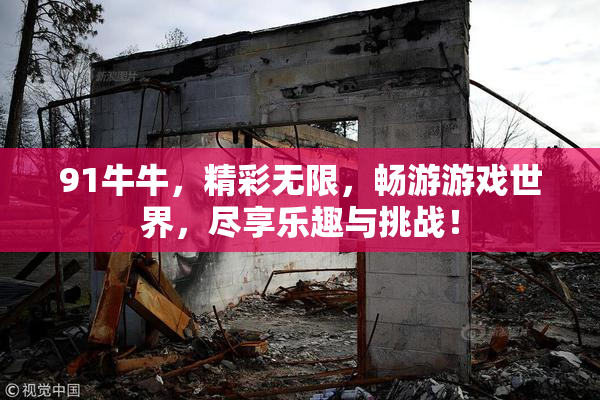 91牛牛，精彩无限，畅游游戏世界，尽享乐趣与挑战！
