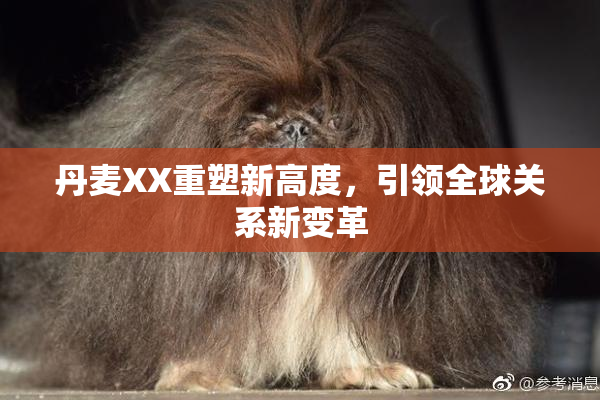 丹麦XX重塑新高度，引领全球关系新变革