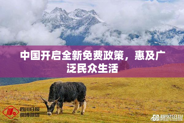 中国开启全新免费政策，惠及广泛民众生活