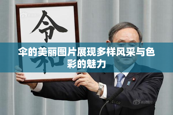 伞的美丽图片展现多样风采与色彩的魅力