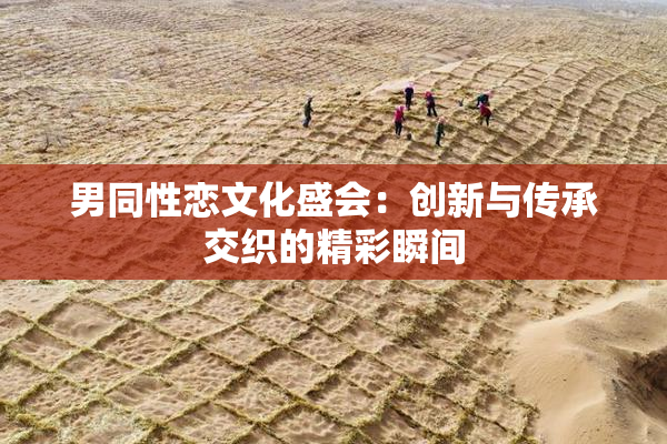 男同性恋文化盛会：创新与传承交织的精彩瞬间