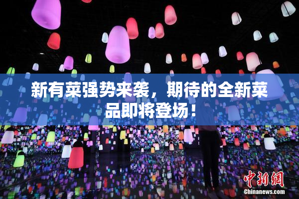 新有菜强势来袭，期待的全新菜品即将登场！