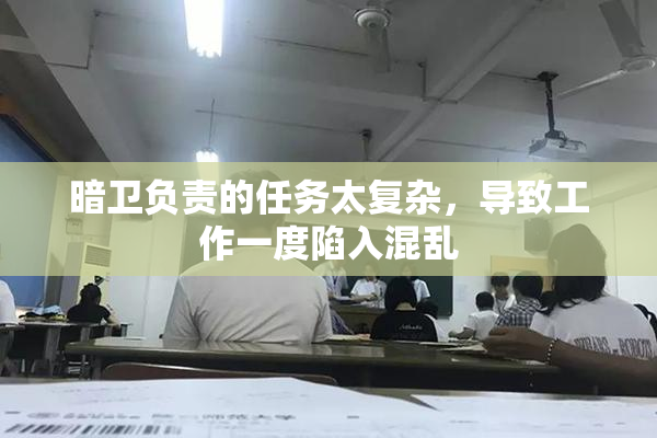 暗卫负责的任务太复杂，导致工作一度陷入混乱