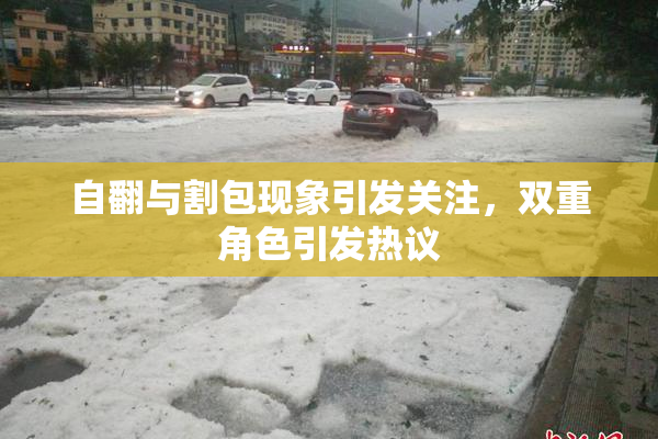 自翻与割包现象引发关注，双重角色引发热议