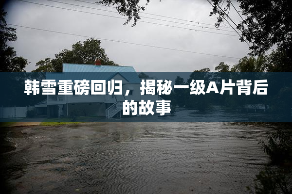 韩雪重磅回归，揭秘一级A片背后的故事